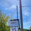 인투캣츠 이미지