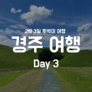 7월 경주 2박3일 뚜벅이 여행코스 Day 3(행리단길, 242카페, 오스테리아밀즈, 대릉원, 카도카도, 하마필름)