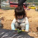 해맑음농장 이미지