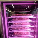 파장시장 이미지