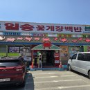 꽃게야 | 태안 원조 꽃게장 맛집 일송 후기