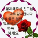 디어앤플라워 네이버블로그