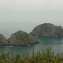 대복민박 이미지