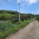 사봉면-5 이미지