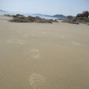 웰빙낙시 | [여름휴가]인천 섬여행 이색 무인섬 사승봉도