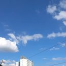 달그집