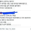 트위터잘알 뮤지컬잘알 눈아들아 이게 먼뜻이야? 이미지