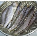 우리집매운탕 Daum카페