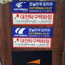 도안탁구클럽