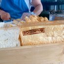 세부 연수 준비 EV어학원 리뷰 위치, 커리큘럼, 기숙사 한눈에