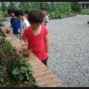 여명유치원 이미지