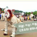 신호유희 이미지