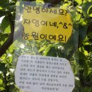 이화농장3 이미지