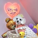 오늘도 예쁜 그루밍 이미지