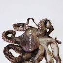 거창한바다 이미지