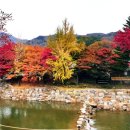 금강모치 화장실 이미지