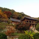 소백산청정한우 이미지