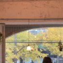 삐에드라 이미지