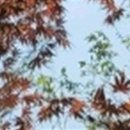 위드치과보철과의원 이미지