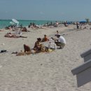 마이애미 이미지