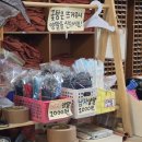 강화동로 | [인천/강화] 강화참숯마을 | 세나개 토비, 도토리네 찜질방 | 내돈내산 후기 | 강화도 여행 추천