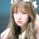 천지코리아 주식회사 이미지