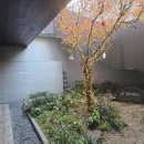 잠원동 스타빌딩, 제이에스가든[잠원점] | 잠원동 맛집 연말모임 가지기 좋은 js가든 잠원점