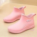 태풍소프트 이미지