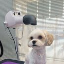 개중목욕탕 이미지