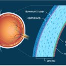 24시 위너스동물의료센터 이미지