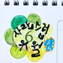유월의아침