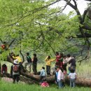 꿈이있는숲속유치원 이미지