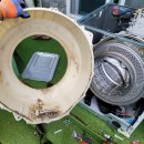 제주배또롱 이미지