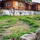 힐링일번지 이미지