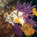 남해-292 이미지