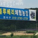 밤나무골농장 이미지