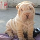 월드동물병원 이미지