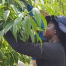 김천문화예술회관 이미지