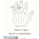 수지침 이미지
