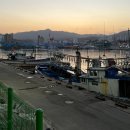 강릉시수산업협동조합 수산물직매장 | 묵호항 수산시장 : 정찰제로 믿고 먹는 '사라수산'에서 대게&amp;회 먹방 꿀팁