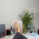 2604_토요일, 회사에 갈 것인가 말 것인가