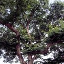 당산1리 이미지