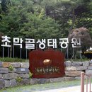 초막골생태공원 캠핑장 이미지