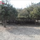 파주6리 이미지