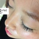 미를붙이다 이미지