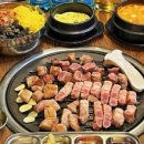 도도한돼지 이미지