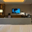 생일파라다이스노래연습장 | [인천] 파라다이스 시티 | 그랜드 프리미어 디럭스룸, 수영장, RUBIK, 내돈내산 후기