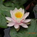 *자기를 바로 봅시다 - Take a good look at your self 이미지