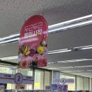 다이소 대구월촌점 네이버블로그