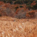 더 세리 호스텔 이미지